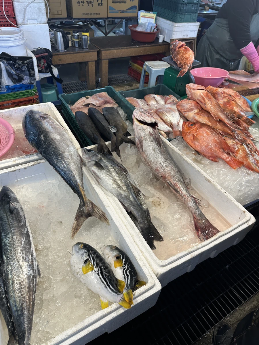 역병은 가고 복은 들어오기를! 생존 신고를 곁들인._22.webp