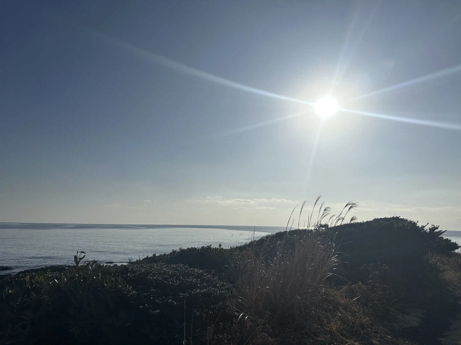 역병은 가고 복은 들어오기를! 생존 신고를 곁들인._27.webp