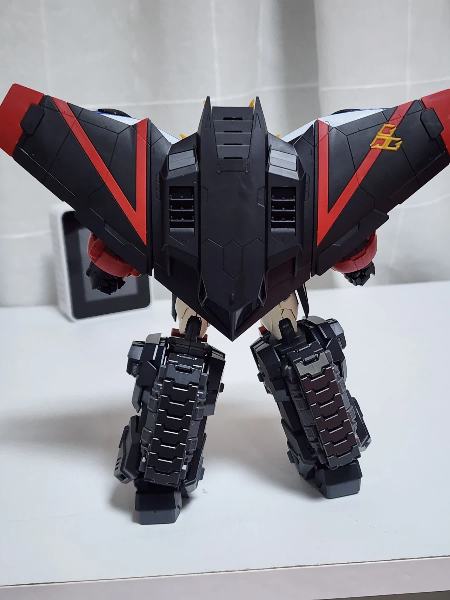 Rg) 가오가이가_5.webp