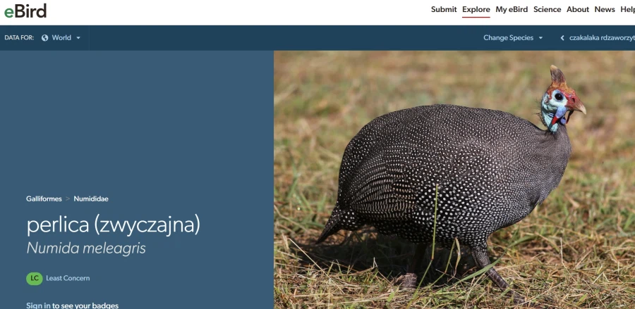 [엔드필드] 해묘 분명히 펠리카 이름 정했을 때에 쌌을듯_1.webp