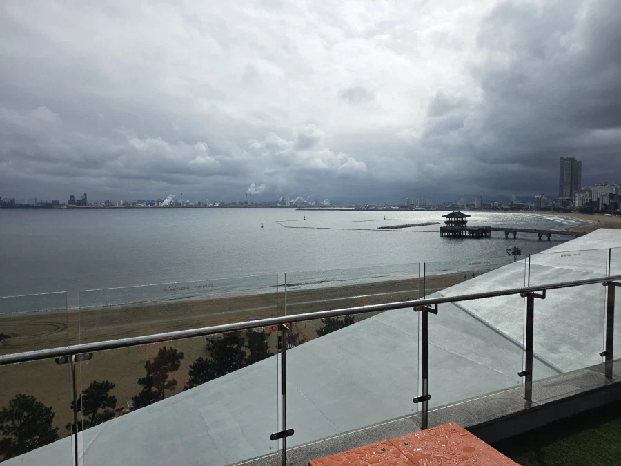 포항 물회_28.webp