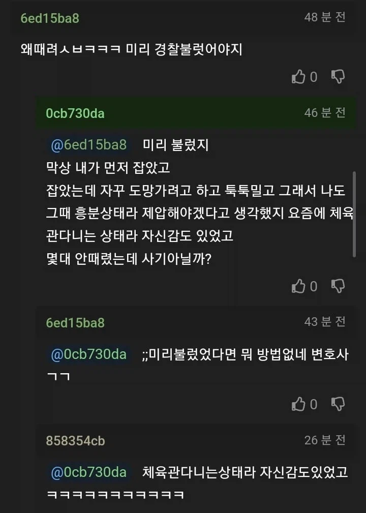 음주운전 뺑소니에 당해서 고소했는데 역으로 고소당함_3.webp