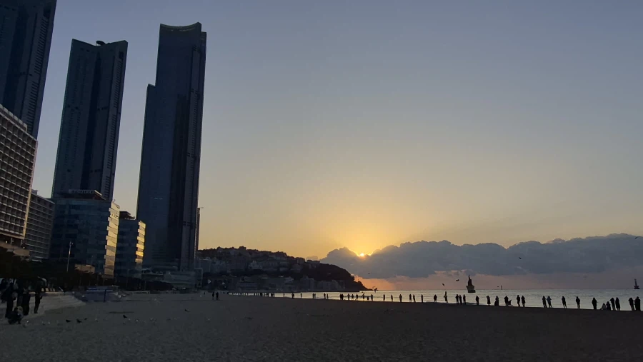 새해 일출_1.webp