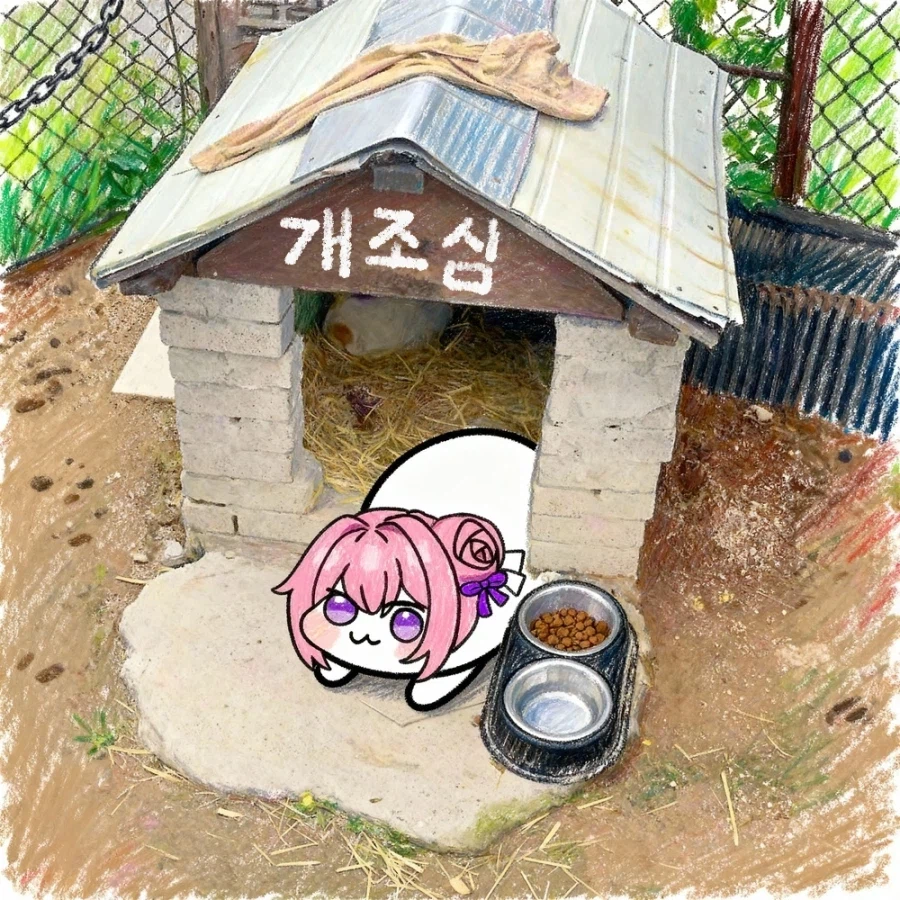 개조심 특_1.webp