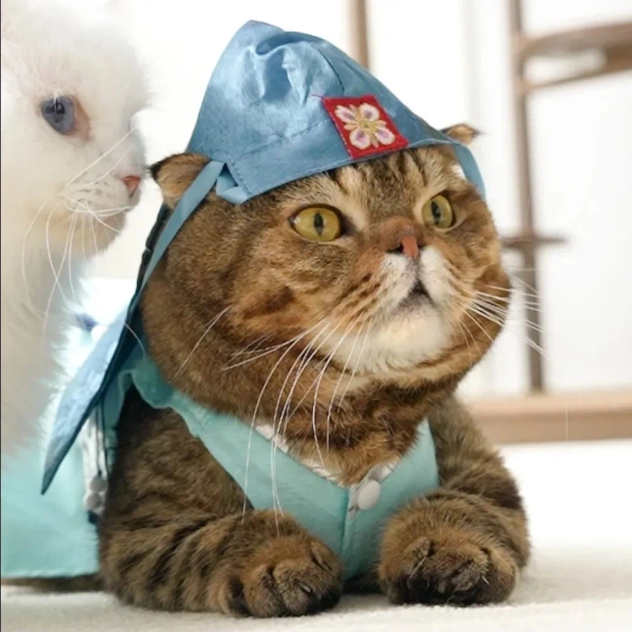 한것도 업는대 졸리다_1.webp