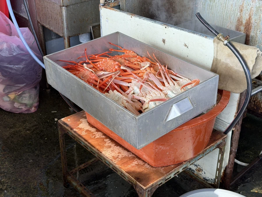 2026 대게 시즌 종료 + 새해 해산물들_9.webp