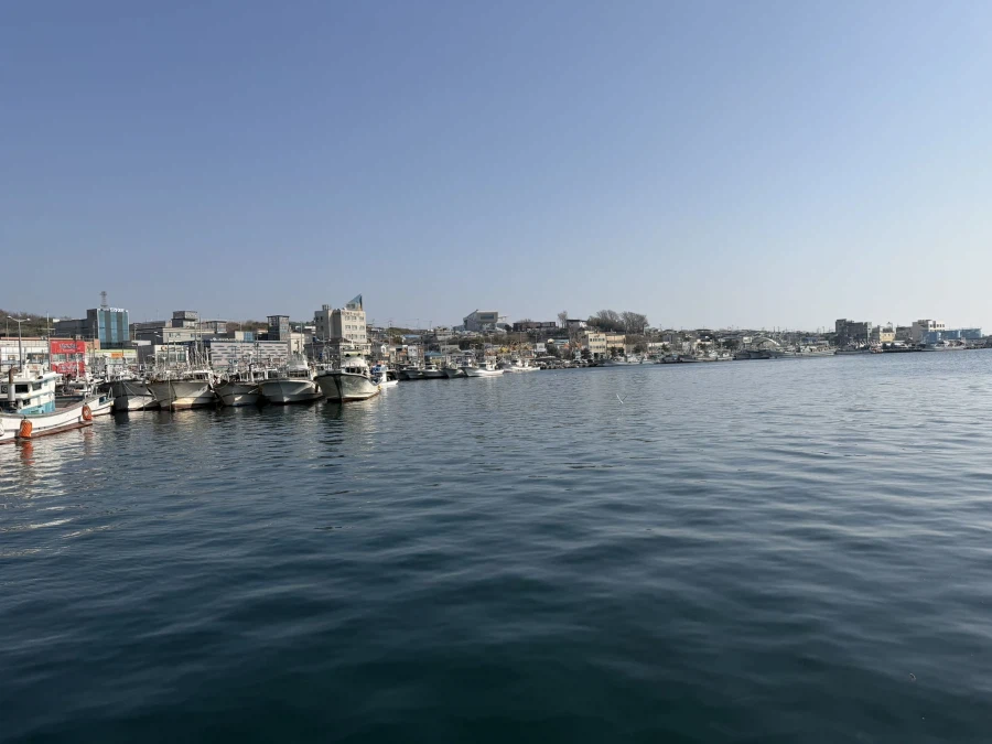 2026 대게 시즌 종료 + 새해 해산물들_15.webp