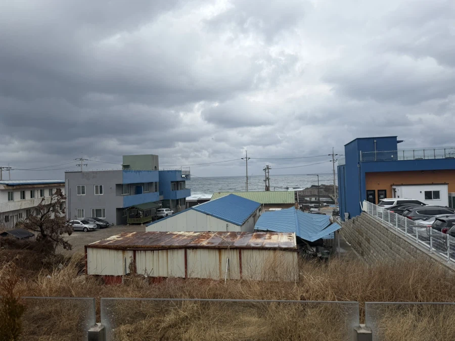 2026 대게 시즌 종료 + 새해 해산물들_29.webp