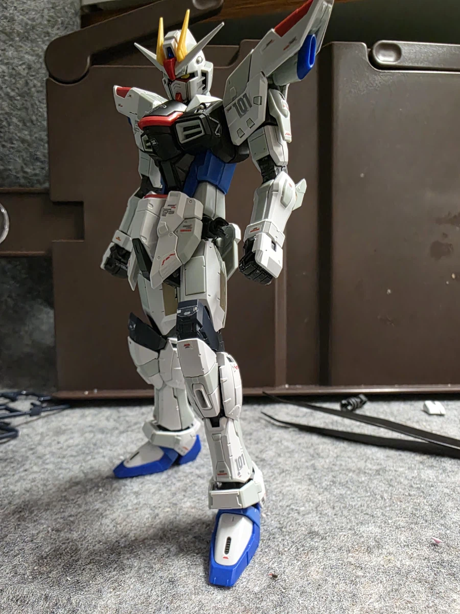 등짝이 얌전한 GCP 프리덤_3.webp