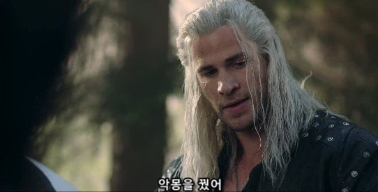 게롤트 : 요새 자꾸 시리가 위험에 처한거 같은 불길한 꿈을 꿔_1.webp