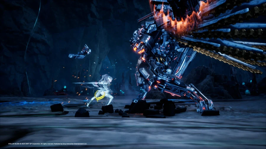 DLC 2개 구매했습니다._2.webp