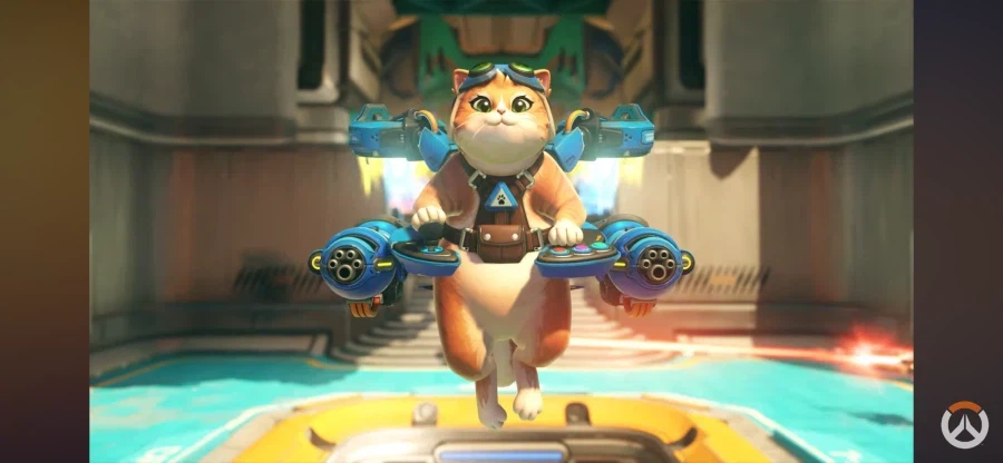 오버워치)"뭐? 매번 고양이 줄무늬가 바뀌는것같다고?"_1.webp