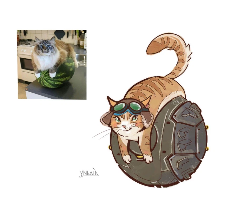 모닝의 플라잉 좆냥이🐱_3.webp