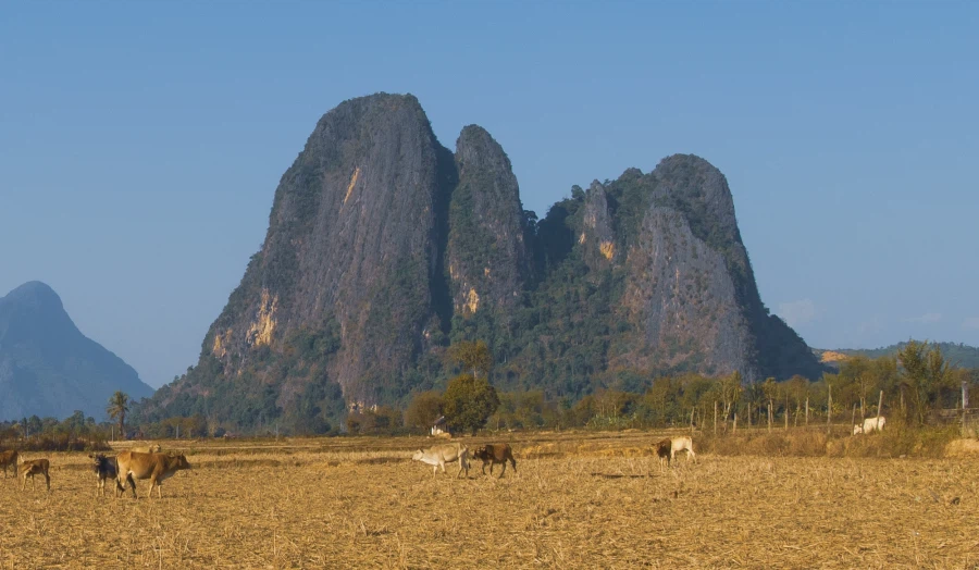 라오스 므앙프앙_3.webp