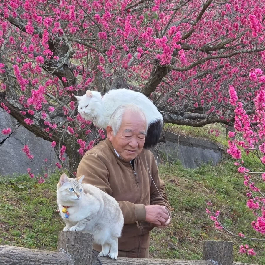 할부지와 고앵이들_1.webp