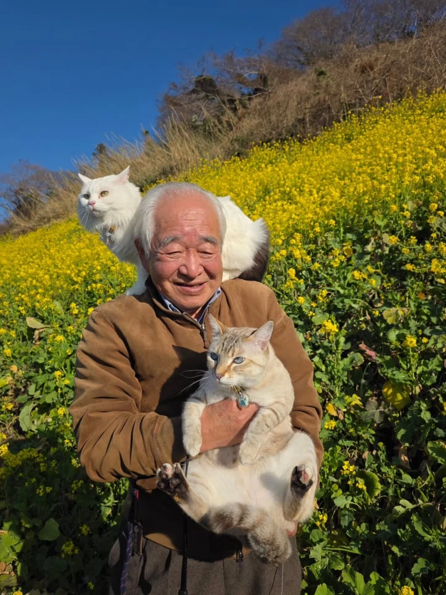 할부지와 고앵이들_5.webp