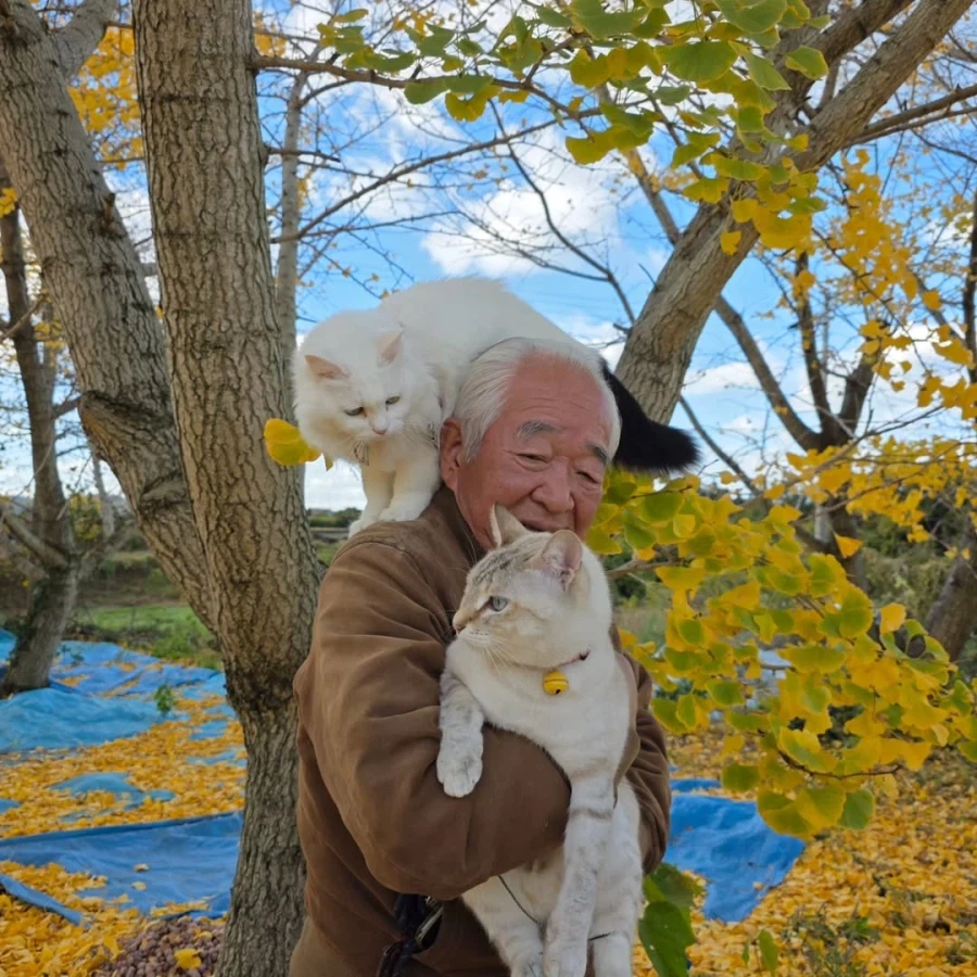 할부지와 고앵이들_6.webp