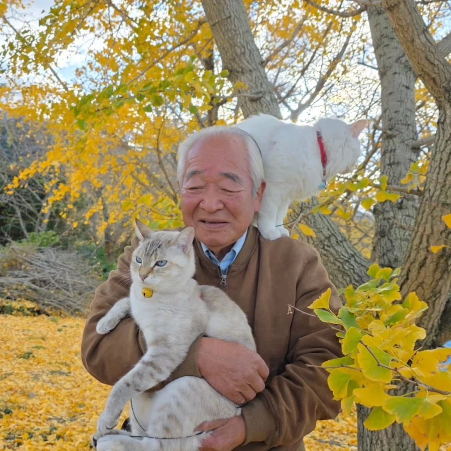 할부지와 고앵이들_7.webp