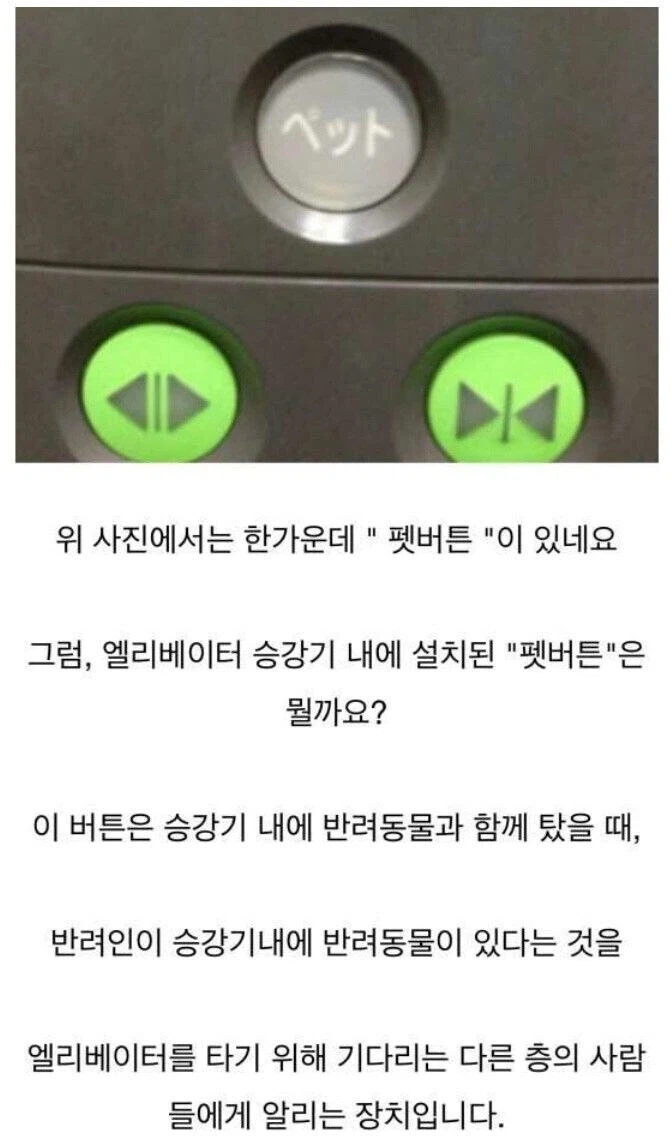 일본 엘리베이터에 있다던 신기한 기능_2.webp