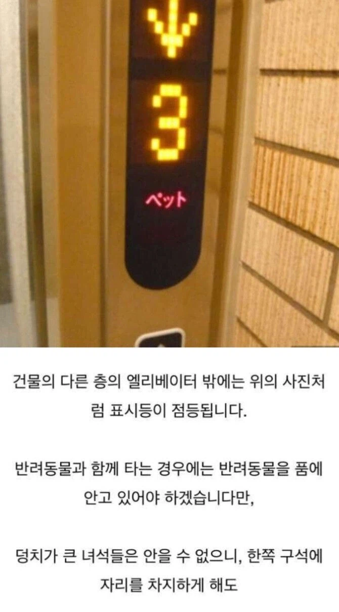 일본 엘리베이터에 있다던 신기한 기능_3.webp