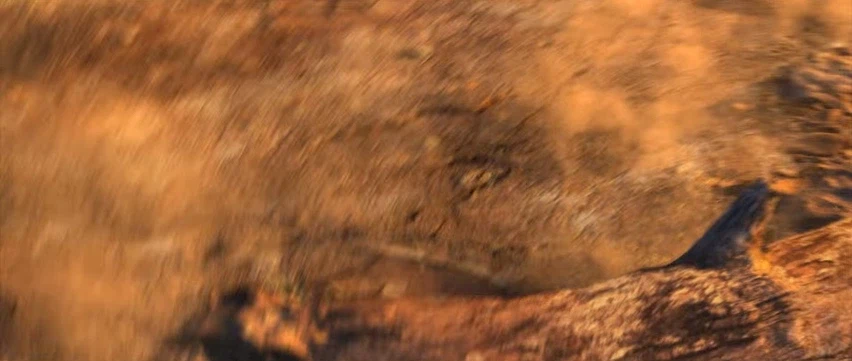 [WoW : 대격변] 등장 만큼은 개쩔었던 놈_8.webp