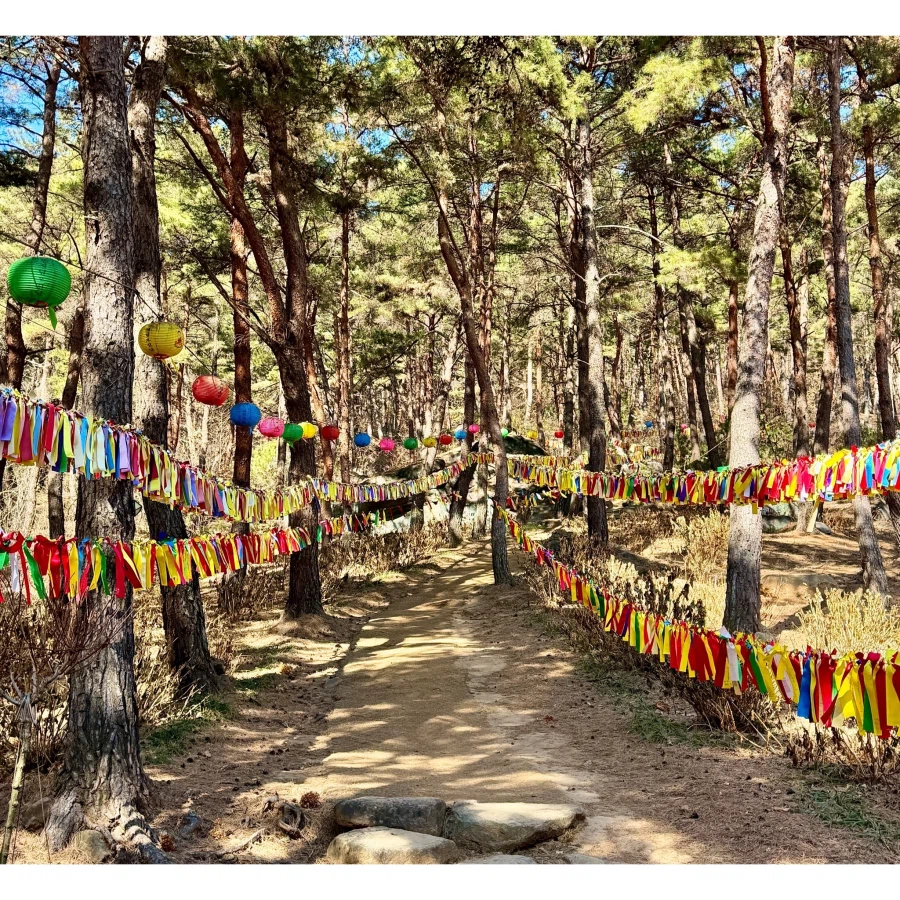 합천 천불천탑_4.webp