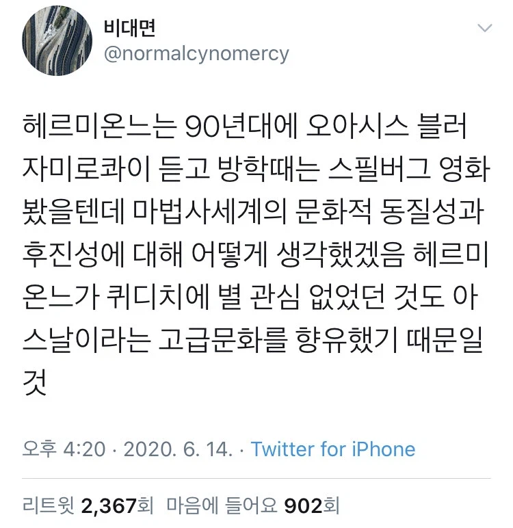 헤르미온느가 퀴디치같은 마법세계 문화에 관심없던 이유.jpg_1.webp