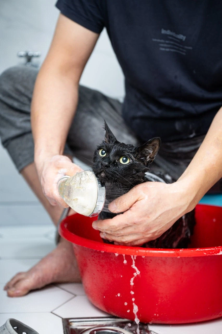 깜냥아 너 인물났다 오늘 어디 나가지 마라!_1.webp