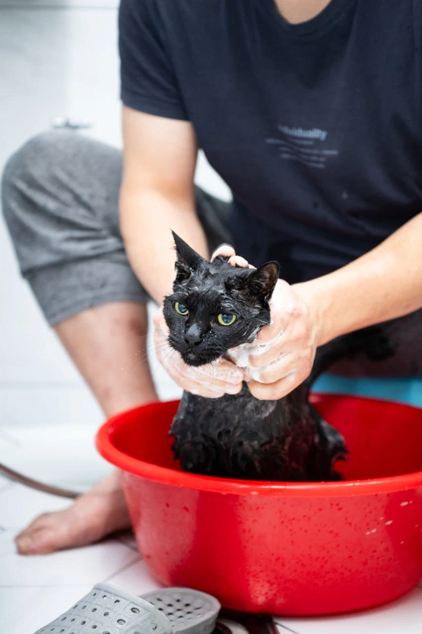 깜냥아 너 인물났다 오늘 어디 나가지 마라!_5.webp