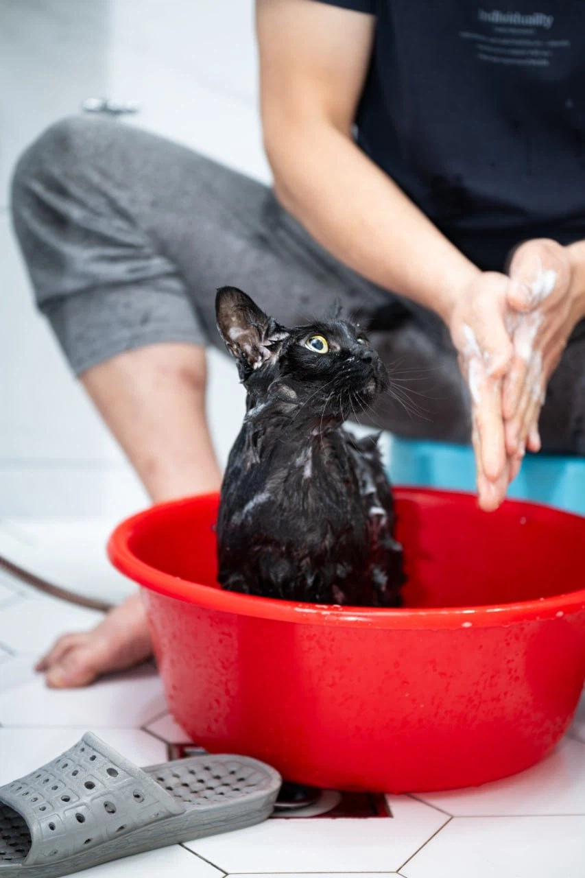 깜냥아 너 인물났다 오늘 어디 나가지 마라!_6.webp