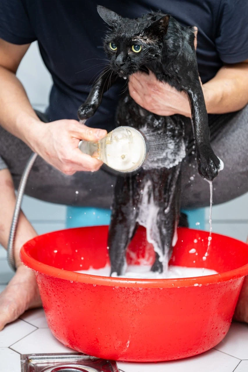 깜냥아 너 인물났다 오늘 어디 나가지 마라!_9.webp