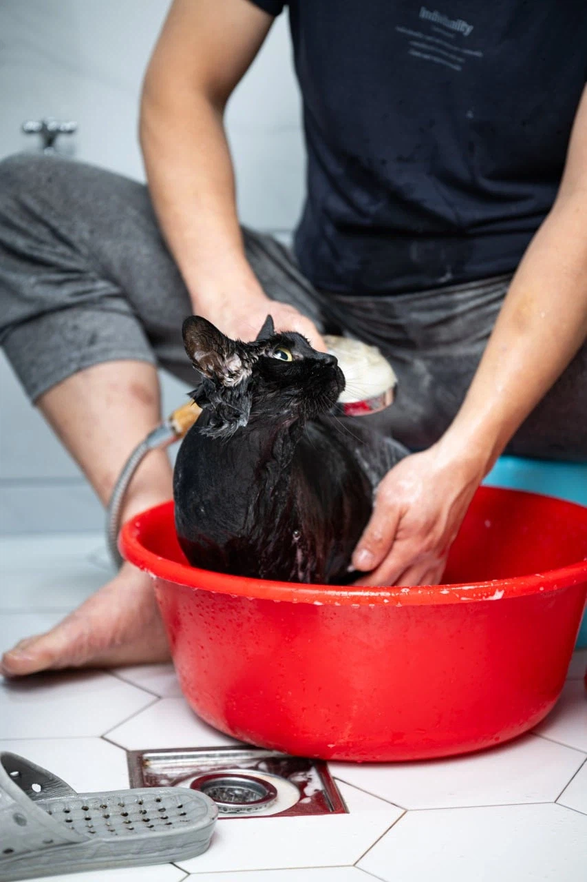 깜냥아 너 인물났다 오늘 어디 나가지 마라!_11.webp