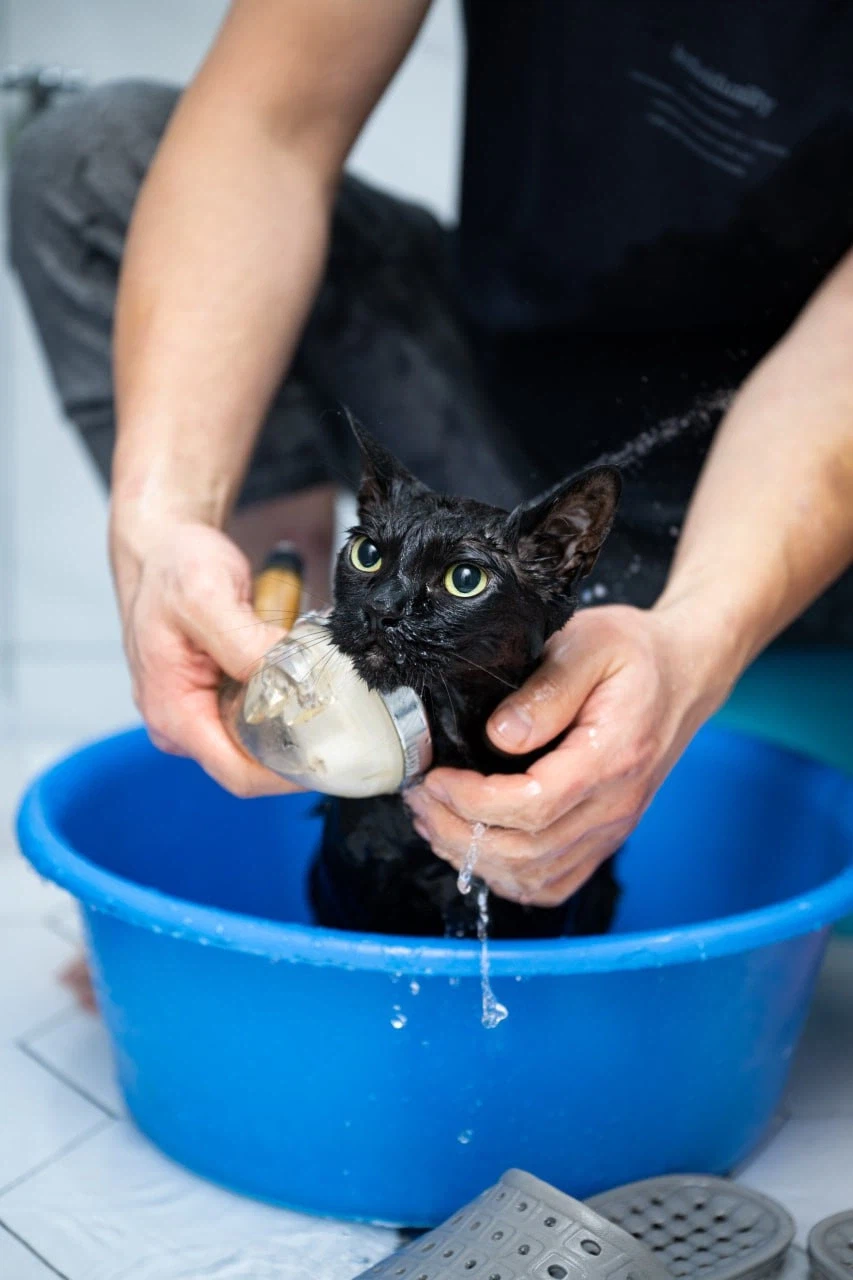 깜냥아 너 인물났다 오늘 어디 나가지 마라!_15.webp