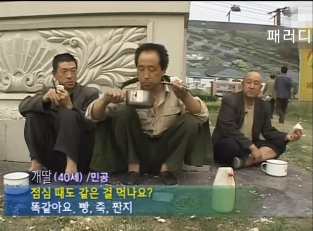 찢견들 니들이냐?_1.webp