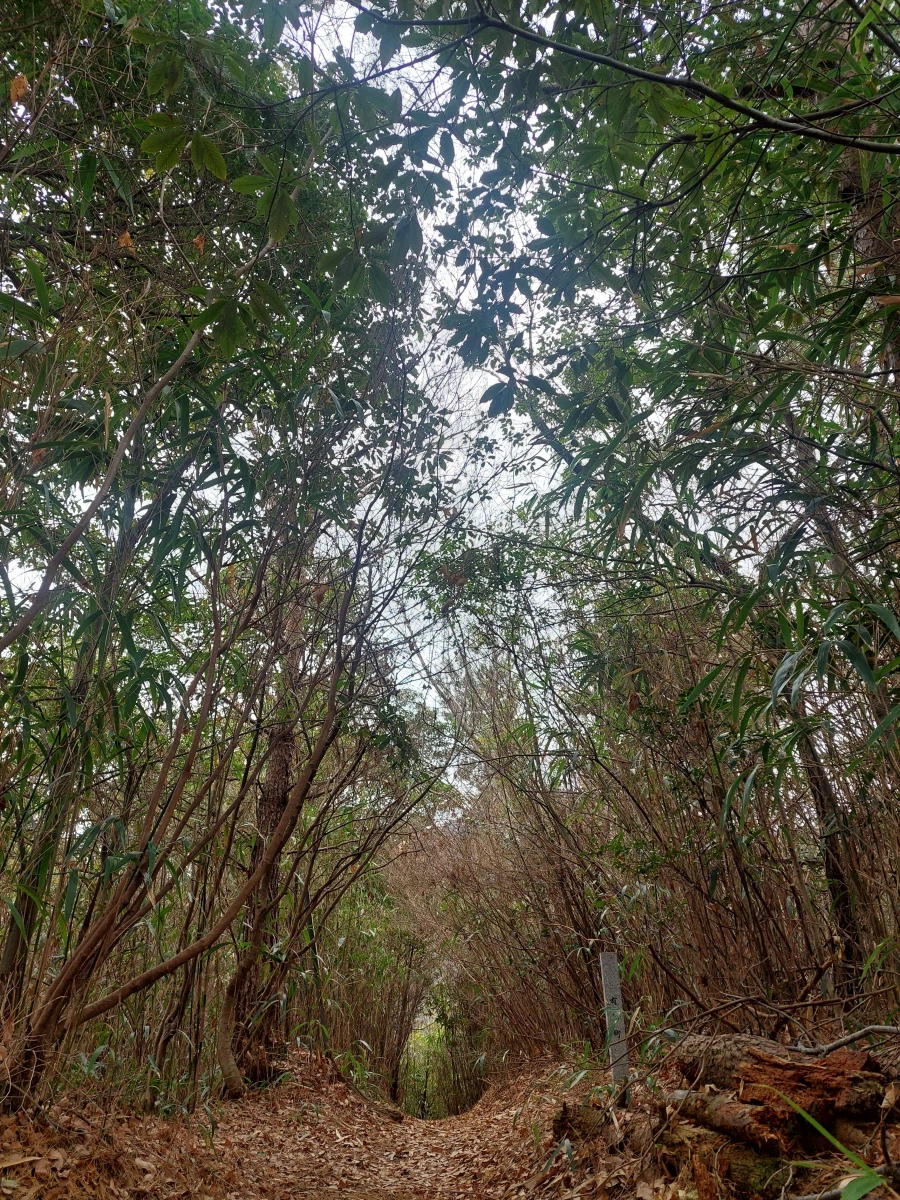 설연휴 나 혼자 아리마 온천 3박 4일_21.webp