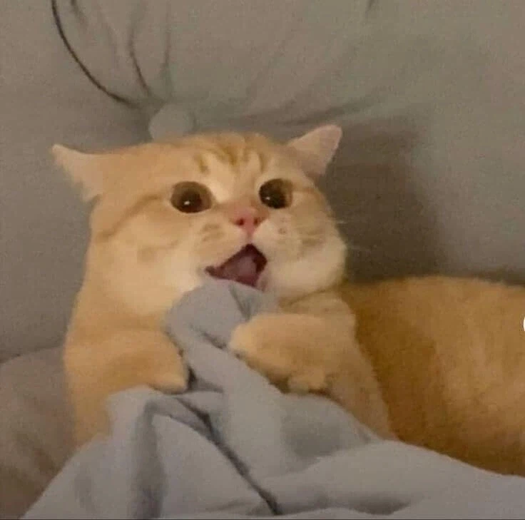 안유명한 영화 소개시키는게 어려운 이유.movie_8.webp