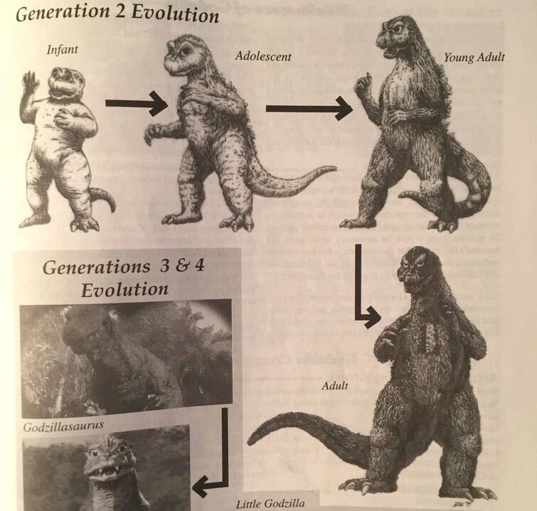 고지라)쇼와 미니라의 성장 과정_1.webp