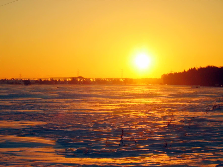 속보) 속보! 누구보다 빠른 소식 특급 속보입니다!_1.webp