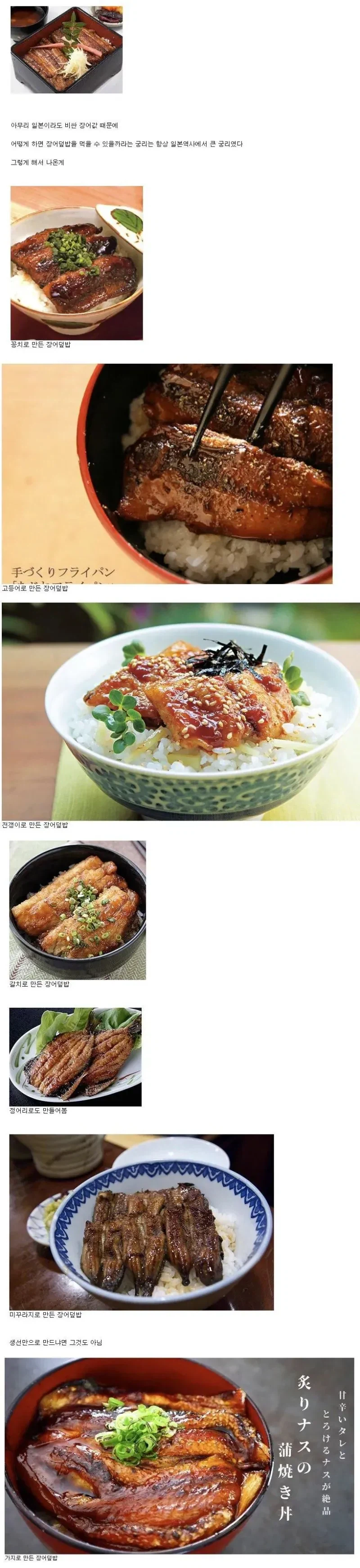 일본이 고안해낸 유사 장어덮밥들_1.webp