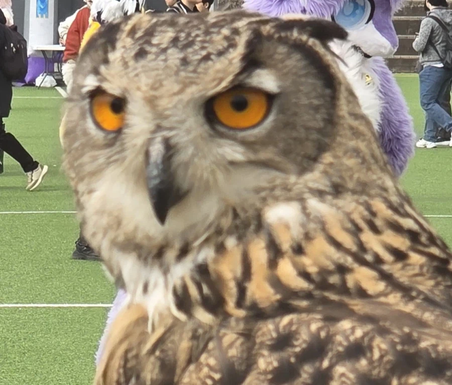 퍼조 2일차_2.webp