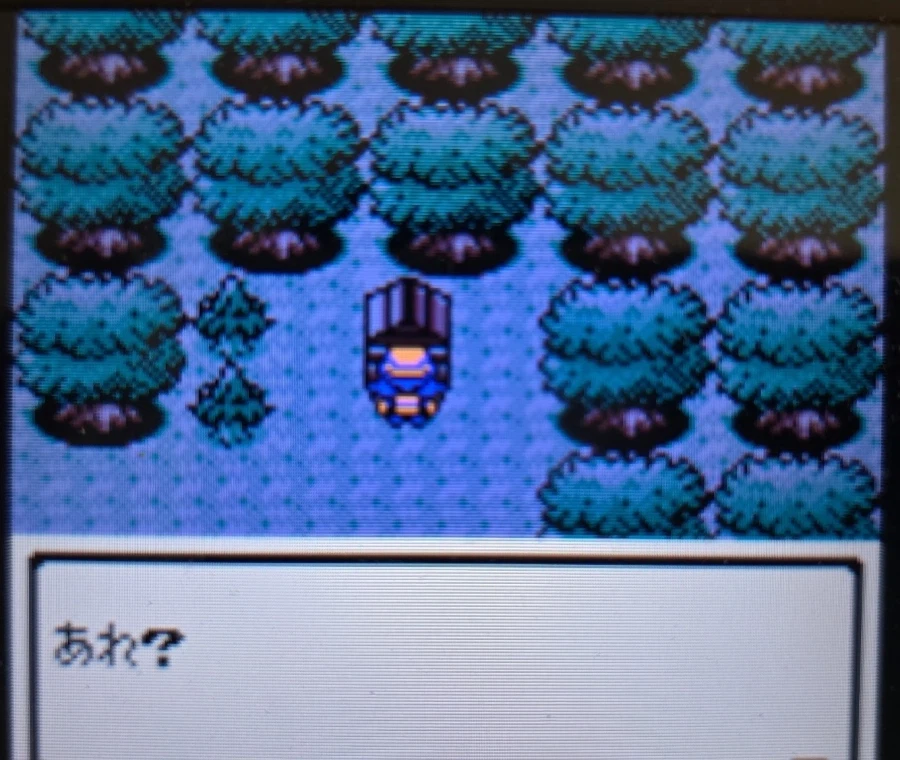 VC 크리스탈, 세레비 포획, 레드, 도감완성_1.webp