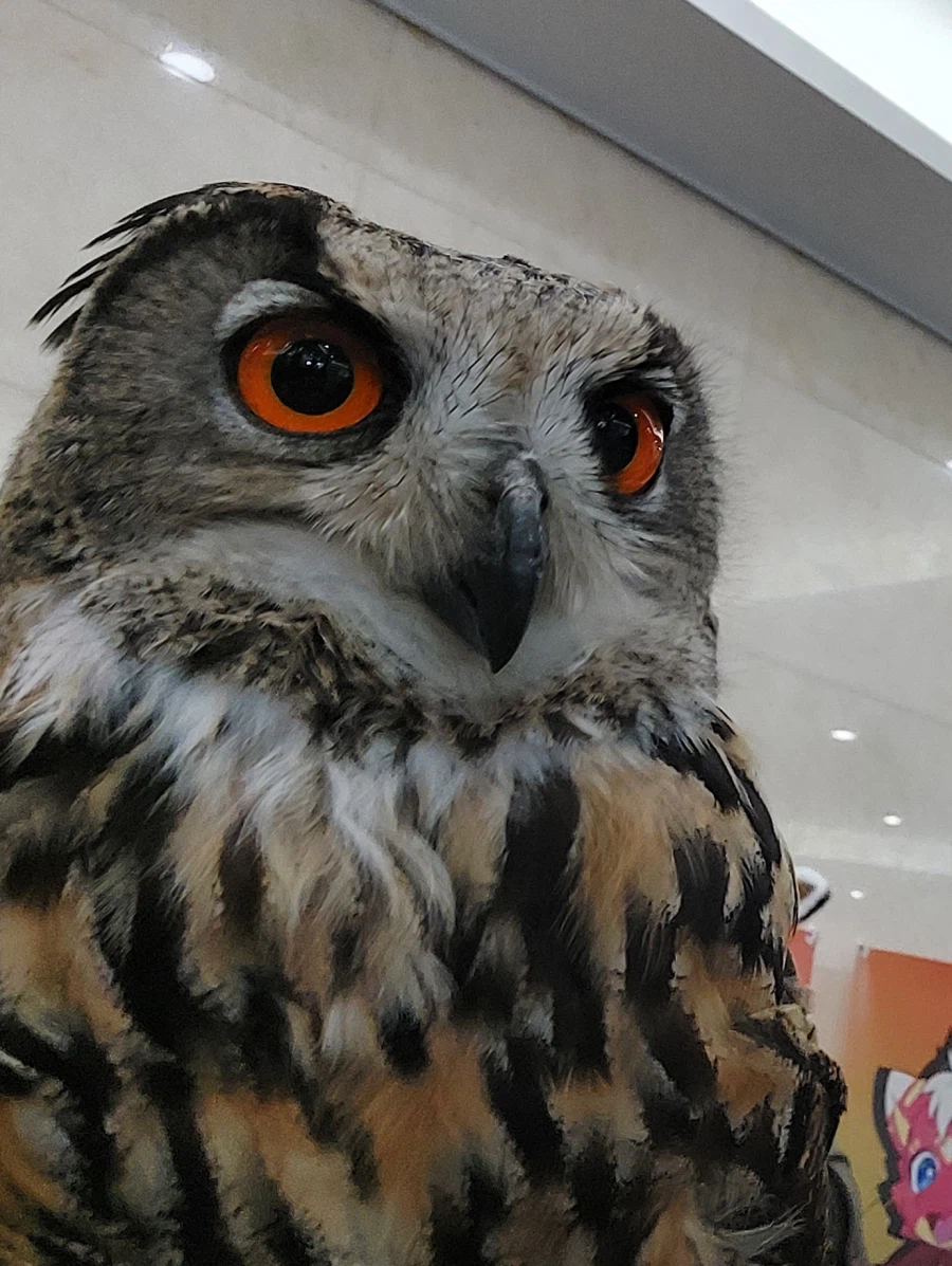 퍼리조아 후기 2_3.webp