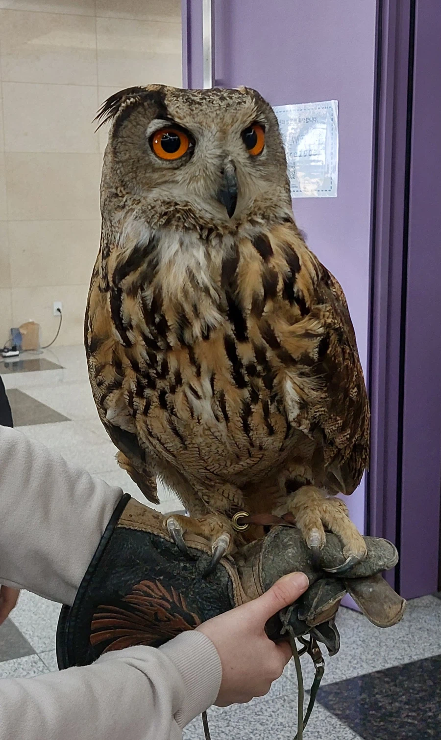 퍼리조아 후기 2_4.webp