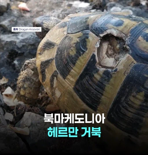 망가 처럼 무인도에 여자 하나 남자 여럿이면 생기는 일_2.webp