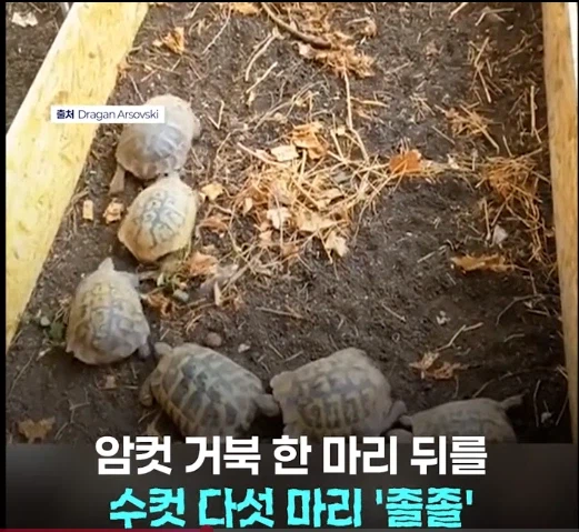 망가 처럼 무인도에 여자 하나 남자 여럿이면 생기는 일_5.webp