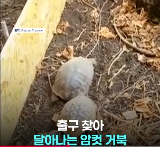 망가 처럼 무인도에 여자 하나 남자 여럿이면 생기는 일_9.webp