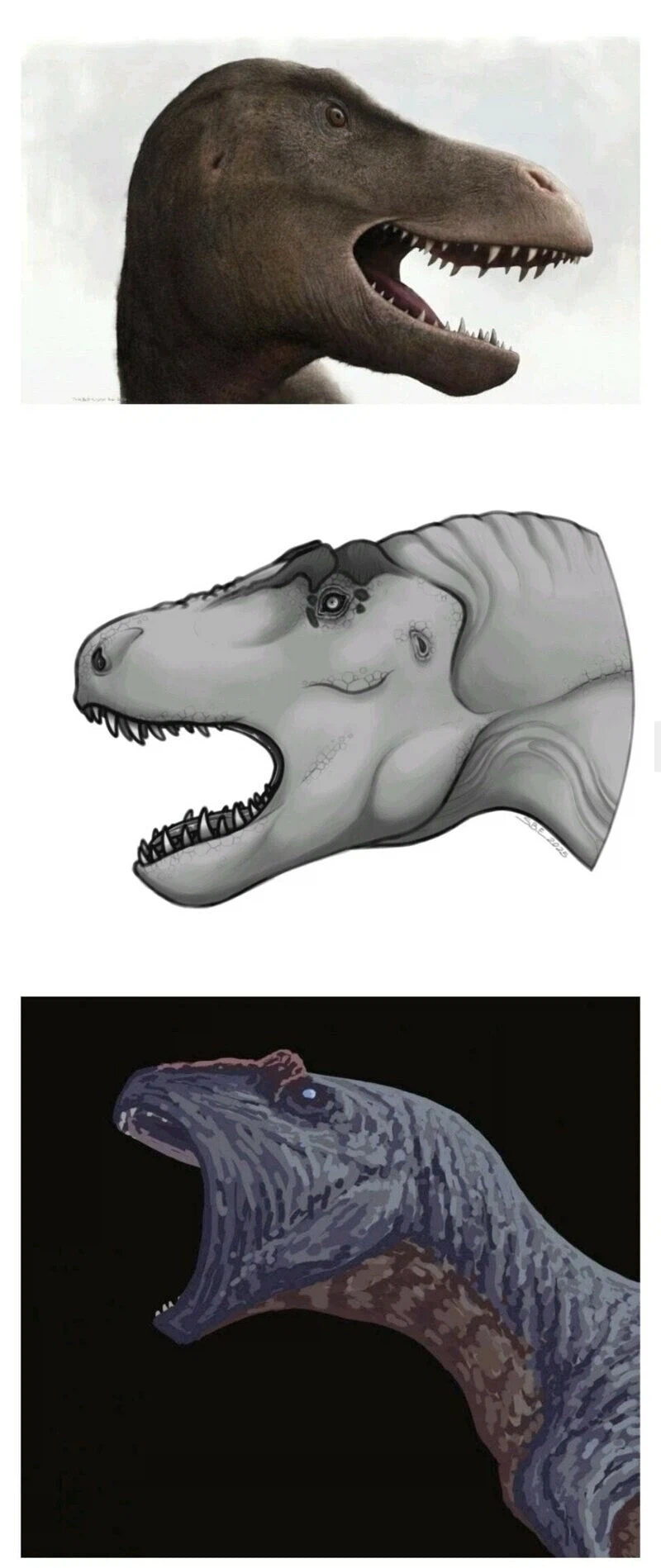 공룡덕후들이 커뮤니티 공룡 얘기에 종종 빡도는 이유_5.webp