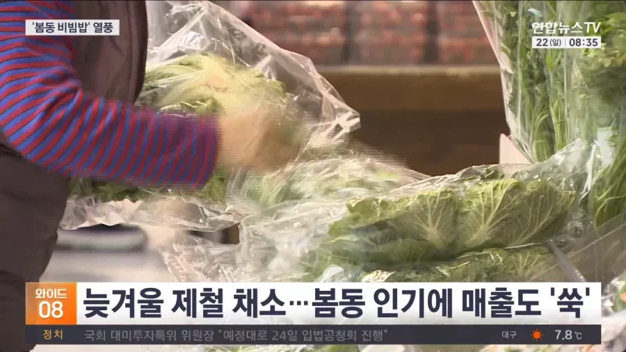 두쫀쿠 이후 새로운 유행음식 근황_6.webp