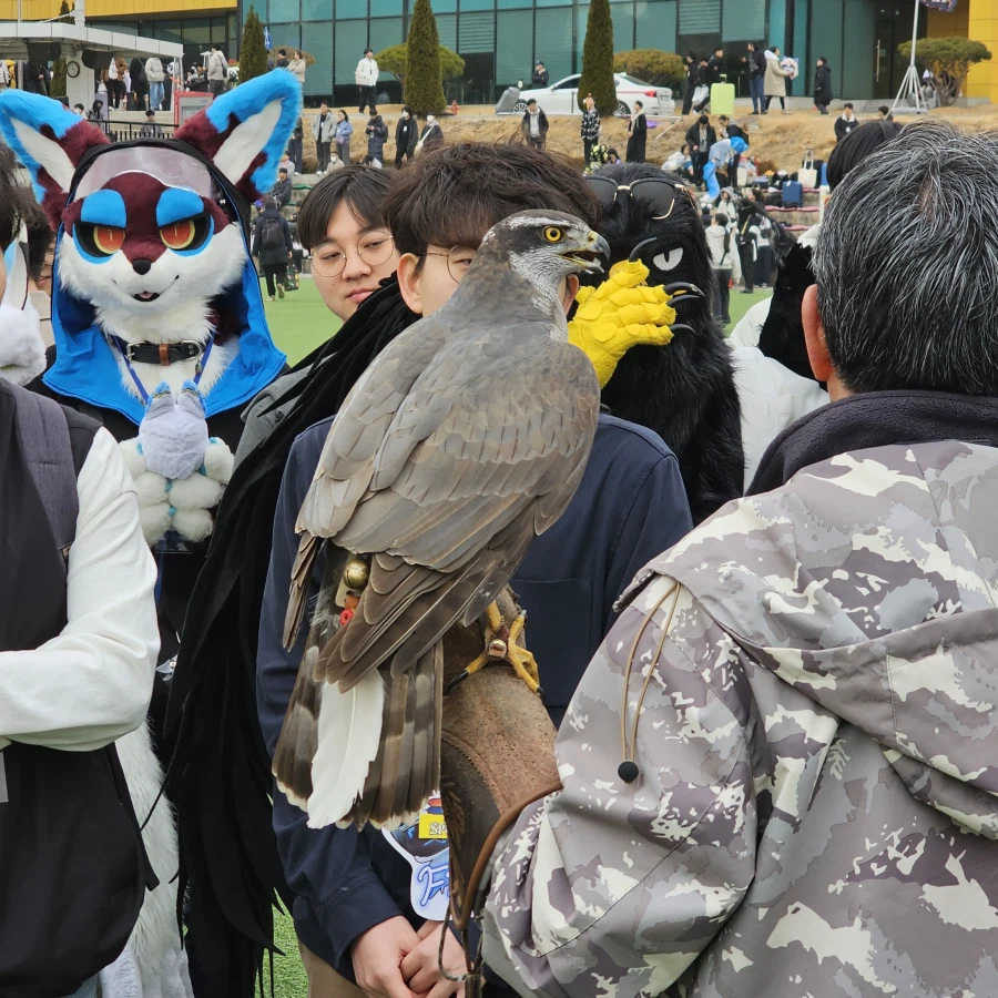 퍼리조아 때 찍은 것들_33.webp