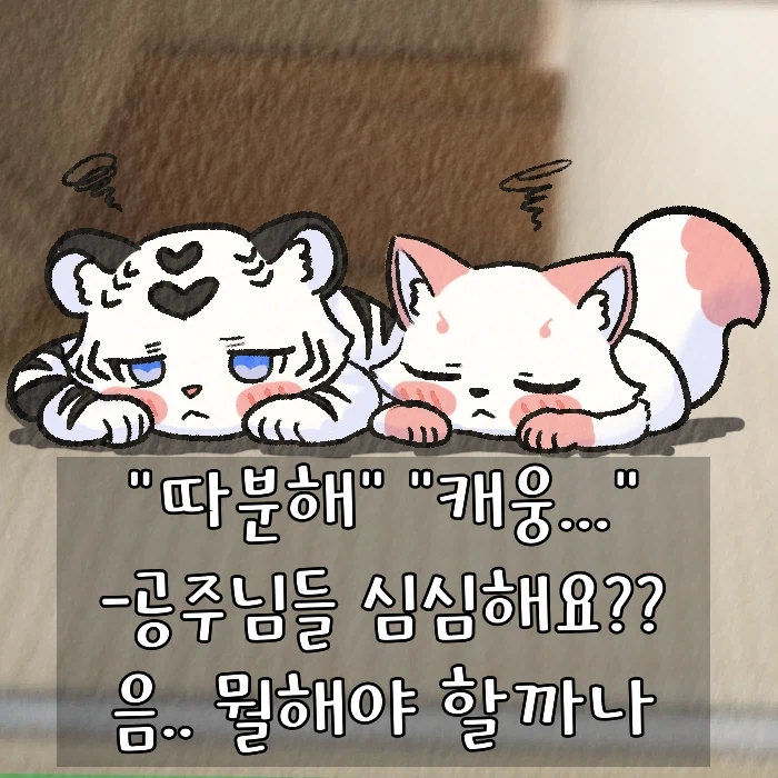 (여우찻집) 예쁜여우 보구가용..!! 여우찻집 603~605편!_3.webp